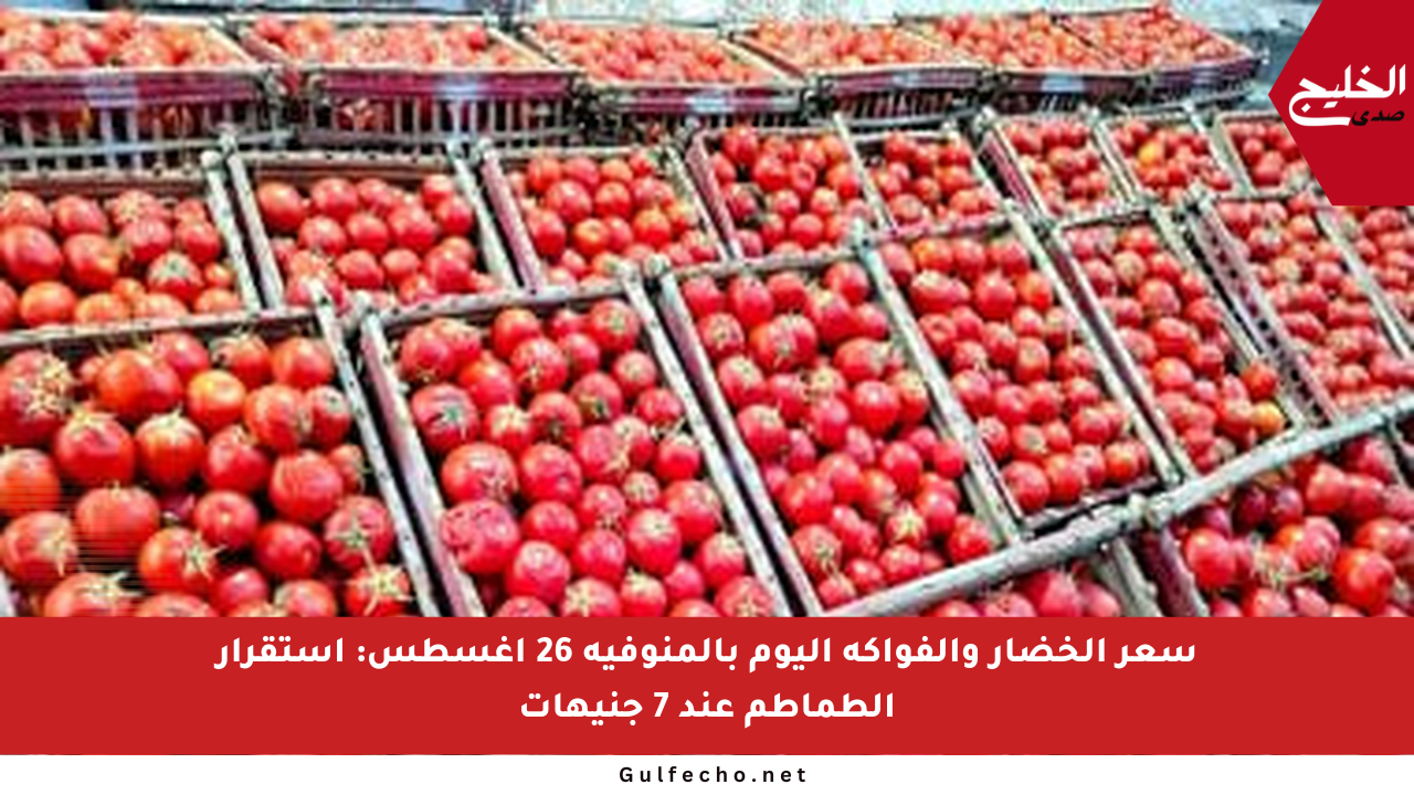سعر الخضار والفواكه اليوم بالمنوفية 26 أغسطس: استقرار الطماطم عند 7 جنيهات